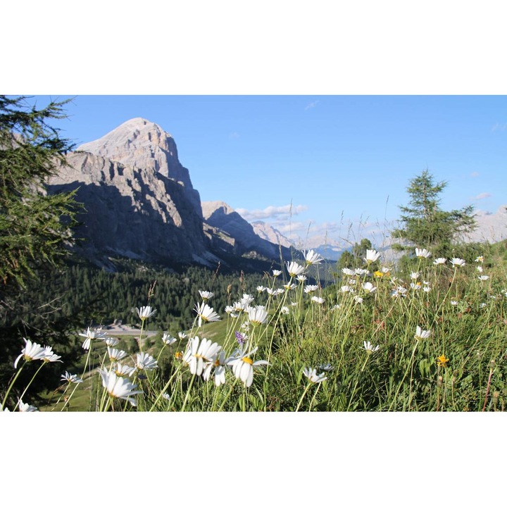 PVC öntapadós tapéta - Hegyi táj 211, 100 x 150 cm