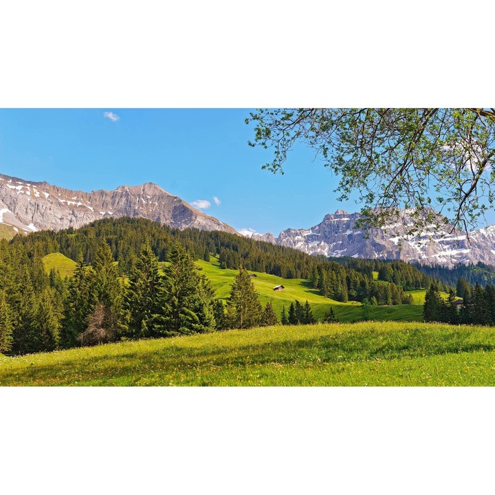 PVC öntapadó tapéta - Hegyi táj 485, 400 x 250 cm