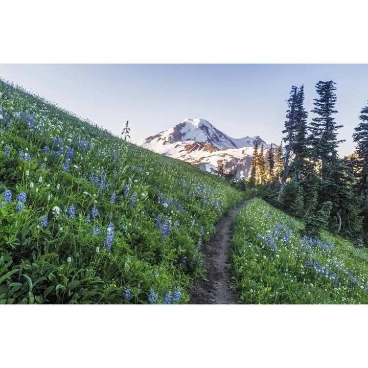 PVC öntapadó tapéta - Hegyi táj 401, 100 x 150 cm