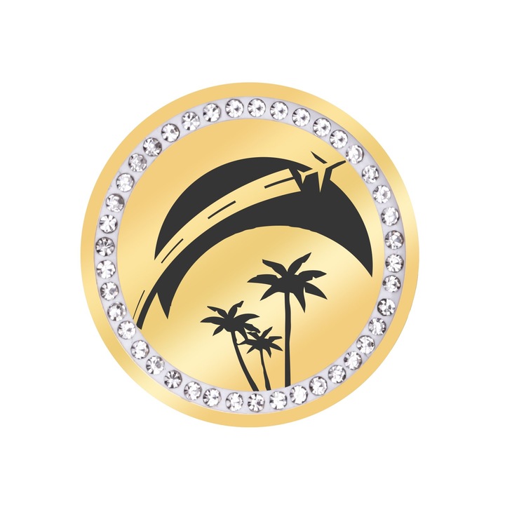 Martisor Brosa Inox Banut Pietre Vacanta Auriu