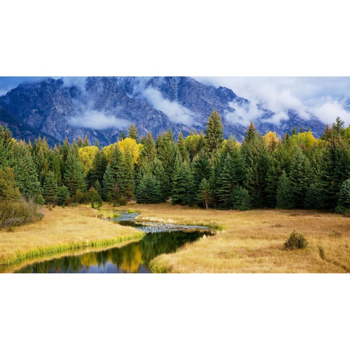 Öntapadó PVC tapéta - Táj erdőkkel és fákkal 208, 100 x 150 cm