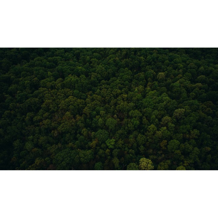 Öntapadó PVC tapéta - Táj erdőkkel és fákkal 108, 100 x 150 cm