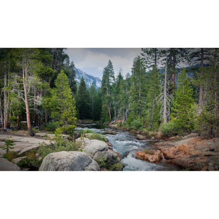 Öntapadó PVC tapéta - Táj erdőkkel és fákkal 151, 100 x 150 cm