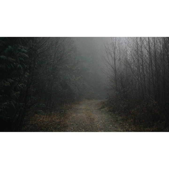 Öntapadó PVC tapéta - Táj erdőkkel és fákkal 092, 100 x 150 cm