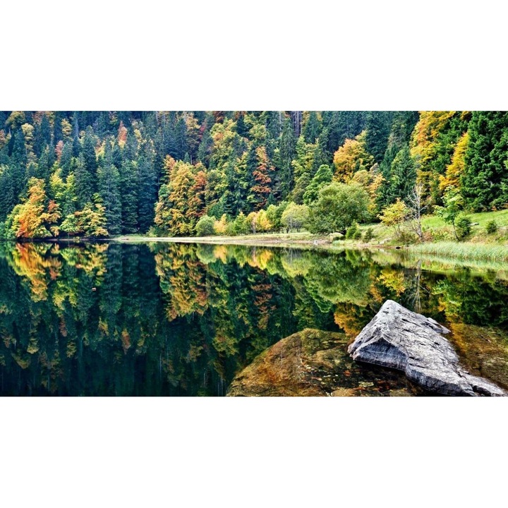 Sticker perete - Peisaje cu Paduri si Copaci 219, 130x90 cm