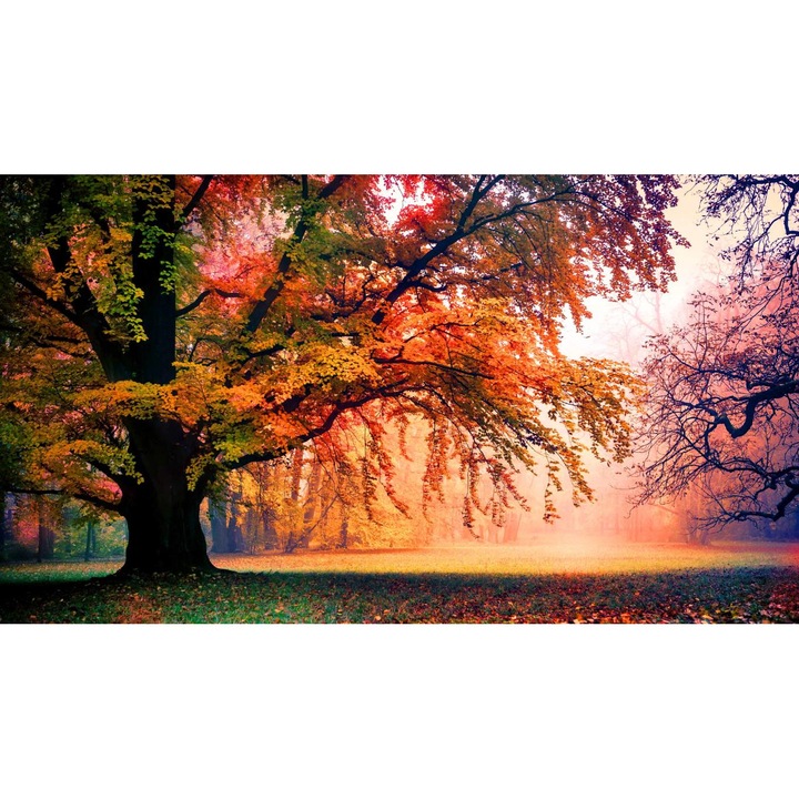 Öntapadó PVC tapéta - Táj erdőkkel és fákkal 132, 100 x 150 cm