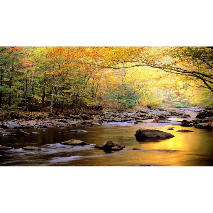 Öntapadó PVC tapéta - Táj erdőkkel és fákkal 158, 100 x 150 cm