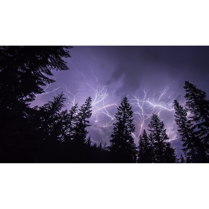 Öntapadó PVC tapéta - Táj erdőkkel és fákkal 187, 100 x 150 cm