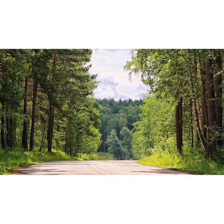 Öntapadó PVC tapéta - Táj erdőkkel és fákkal 148, 100 x 150 cm