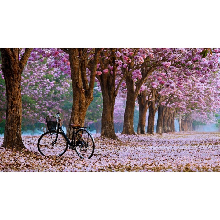 Öntapadó PVC tapéta - Táj erdőkkel és fákkal 202, 100 x 150 cm