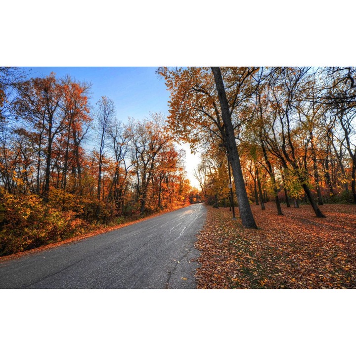 PVC öntapadó tapéta - Táj erdőkkel és fákkal 037, 100 x 150 cm