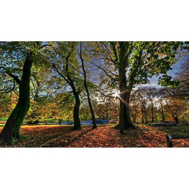 Öntapadó PVC tapéta - Táj erdőkkel és fákkal 047, 100 x 150 cm