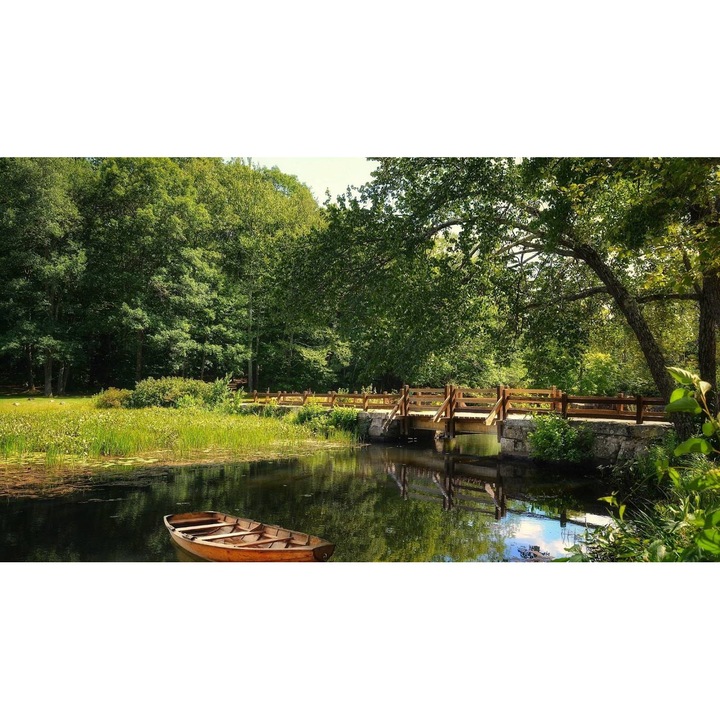 Öntapadó PVC tapéta - Táj erdőkkel és fákkal 250, 100 x 150 cm