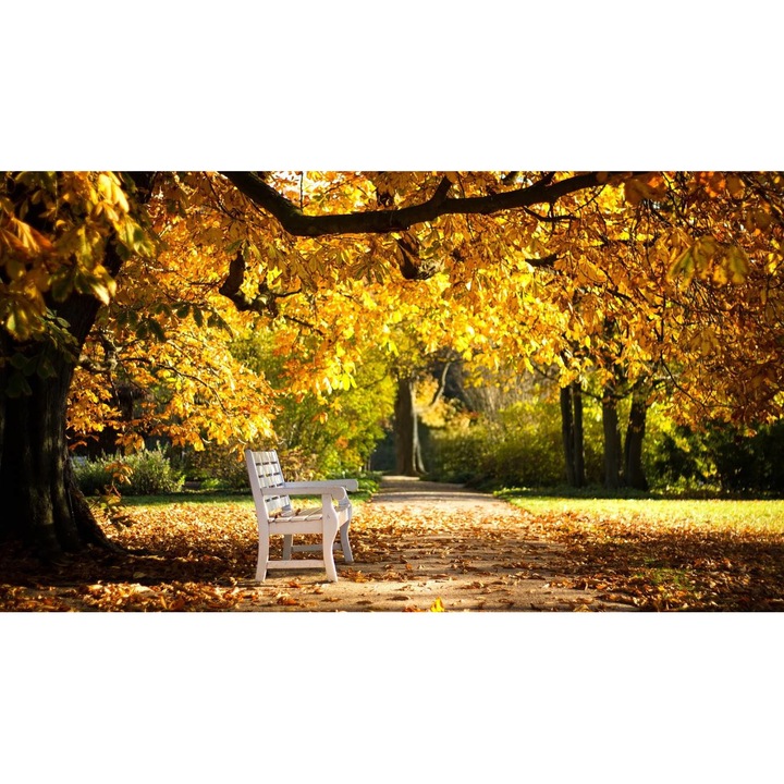 Öntapadó PVC tapéta - Táj erdőkkel és fákkal 154, 100 x 150 cm