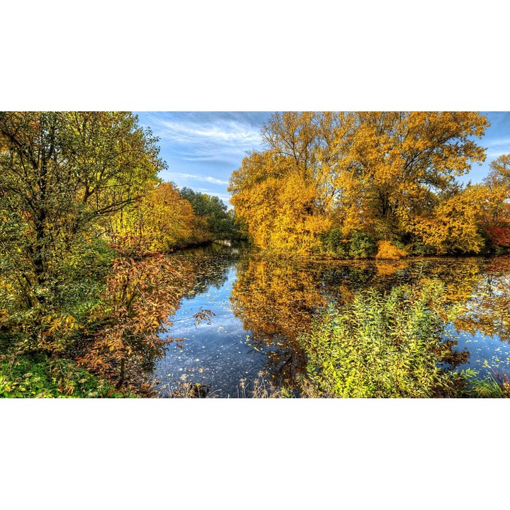 Öntapadó PVC tapéta - Táj erdőkkel és fákkal 253, 100 x 150 cm