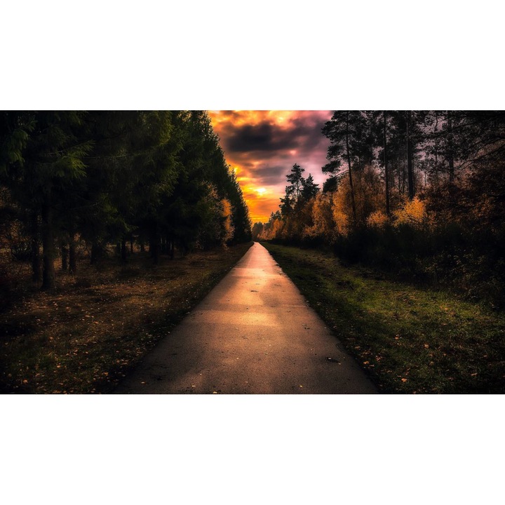 Öntapadó PVC tapéta - Táj erdőkkel és fákkal 181, 100 x 150 cm