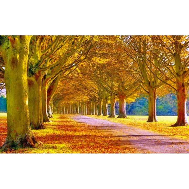 Sticker perete - Peisaje cu Paduri si Copaci 269, 130x90 cm