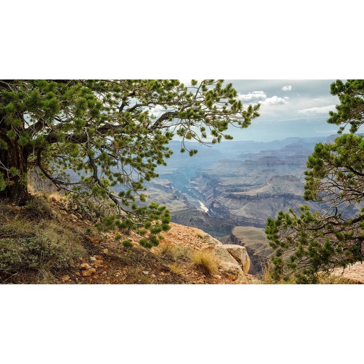 Öntapadó PVC tapéta - Táj erdőkkel és fákkal 207, 100 x 150 cm