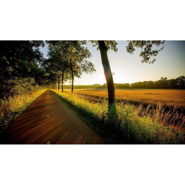 Öntapadó PVC tapéta - Táj erdőkkel és fákkal 194, 100 x 150 cm