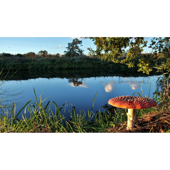 Öntapadó PVC tapéta - Landscapes with Water 001, 100 x 150 cm