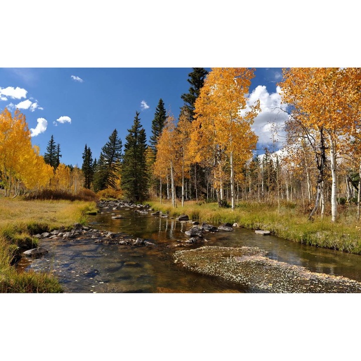 Öntapadó PVC tapéta - Landscapes with Water 056, 100 x 150 cm