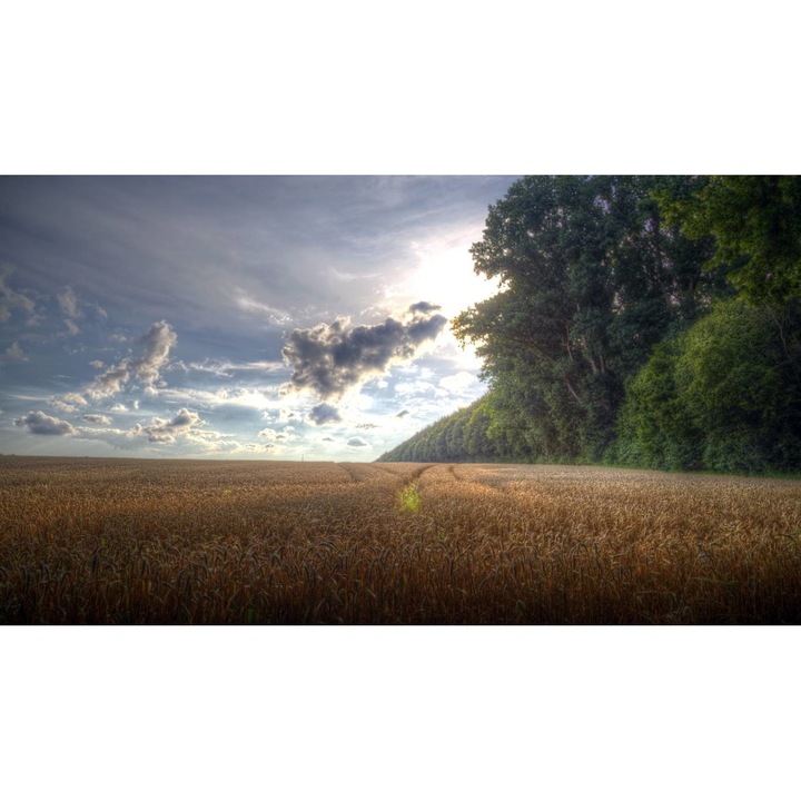 PVC öntapadó tapéta - Plain Landscapes 004, 100 x 150 cm