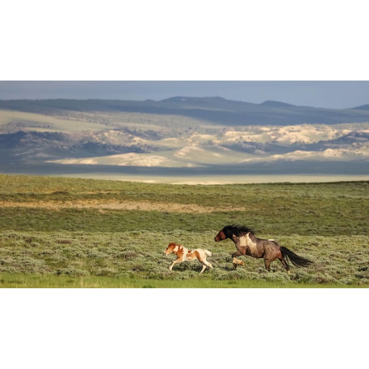 Öntapadó PVC tapéta - Plain Landscapes 005, 100 x 150 cm