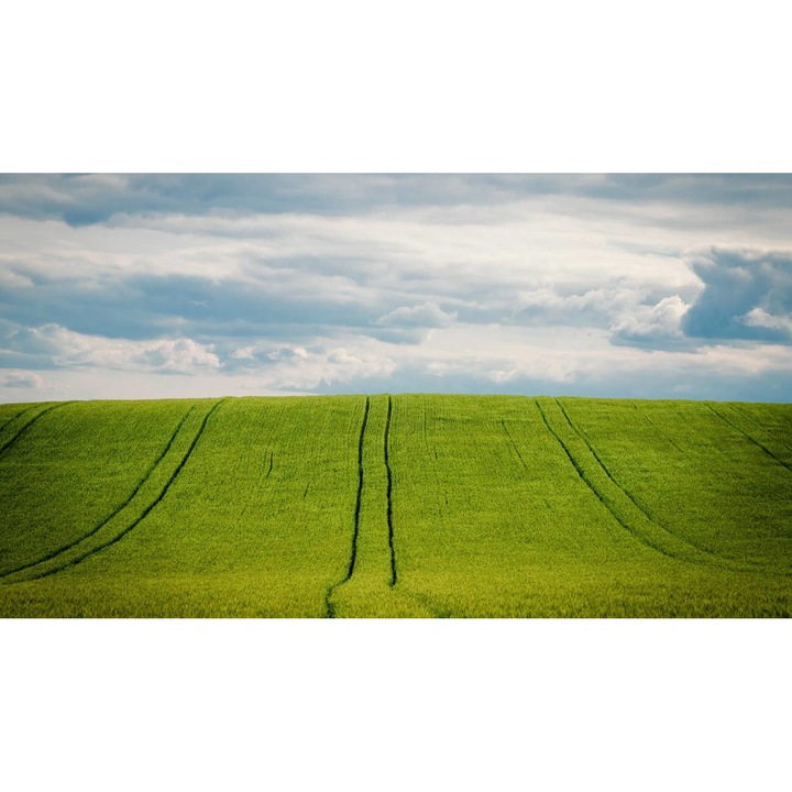 PVC öntapadó tapéta - Plain Landscapes 026, 100 x 150 cm