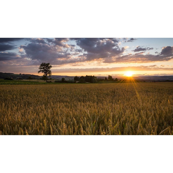 Öntapadó PVC tapéta - Plain Landscapes 030, 100 x 150 cm