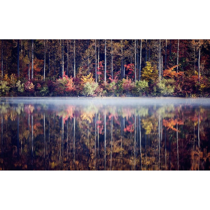 Öntapadó PVC tapéta - Táj erdőkkel és fákkal 003, 100 x 150 cm