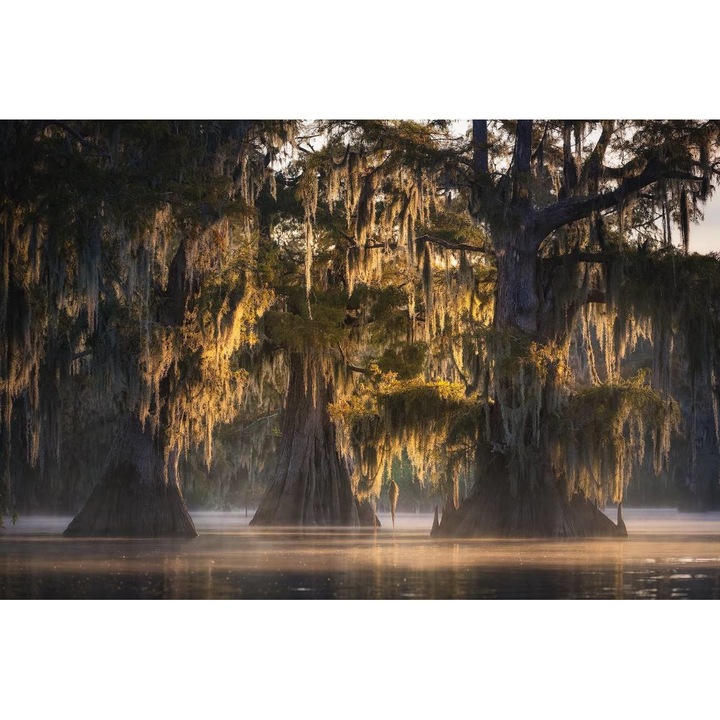 Öntapadó PVC tapéta - Táj erdőkkel és fákkal 001, 100 x 150 cm