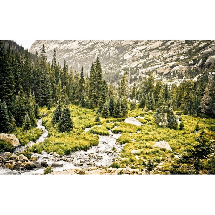 Öntapadó PVC tapéta - Táj erdőkkel és fákkal 011, 100 x 150 cm