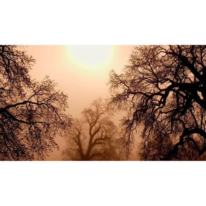 Öntapadó PVC tapéta - Táj erdőkkel és fákkal 022, 100 x 150 cm