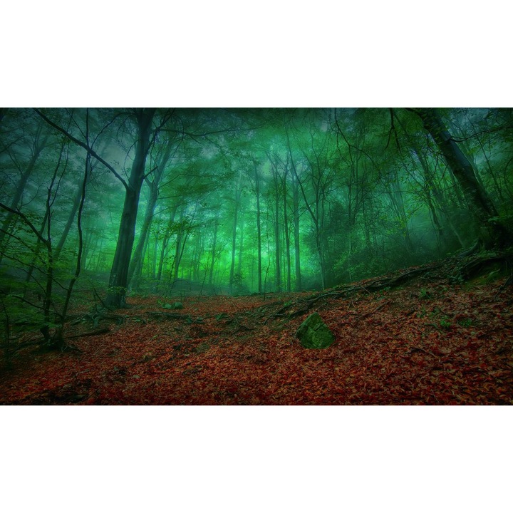 Sticker perete - Peisaje cu Paduri si Copaci 044, 130x90 cm