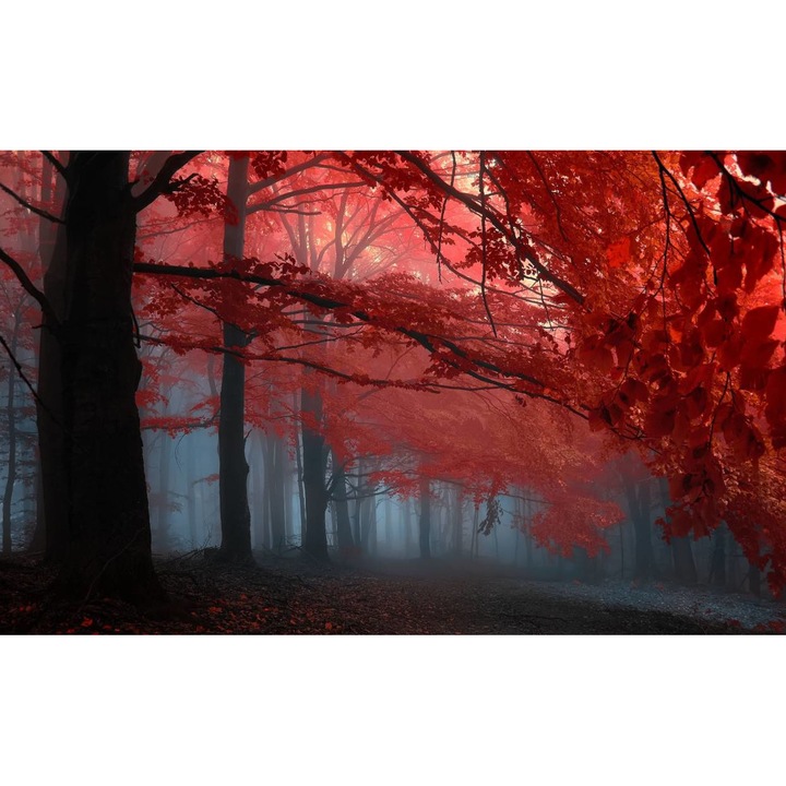 Öntapadó PVC tapéta - Táj erdőkkel és fákkal 049, 100 x 150 cm