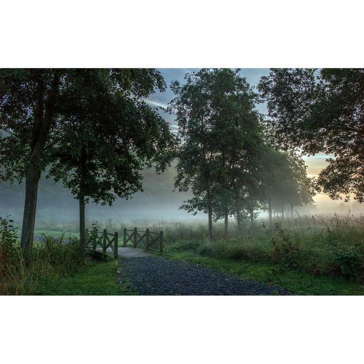 Öntapadó PVC tapéta - Táj erdőkkel és fákkal 062, 100 x 150 cm