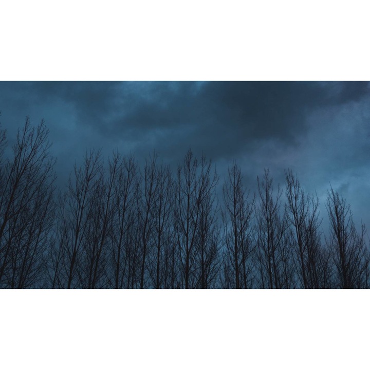 Öntapadó PVC tapéta - Táj erdőkkel és fákkal 111, 100 x 150 cm