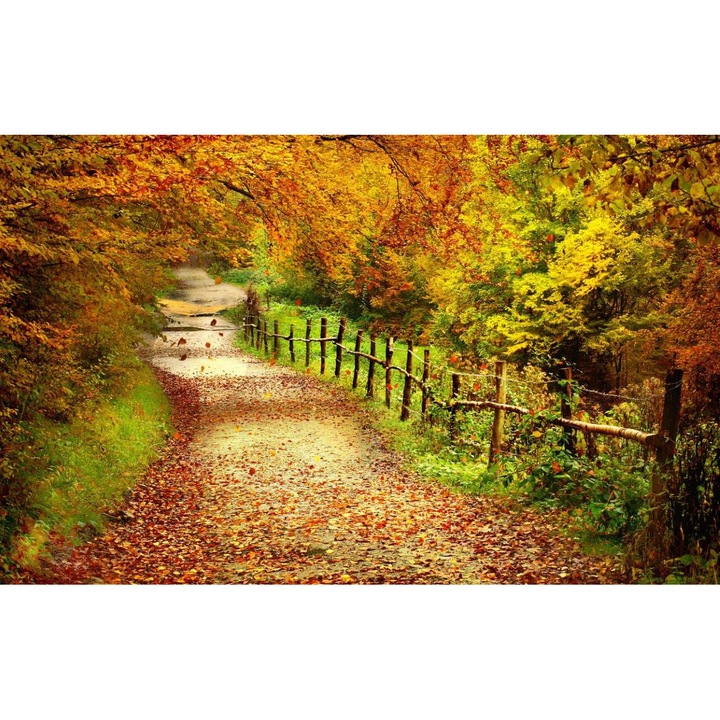 Öntapadó PVC tapéta - Táj erdőkkel és fákkal 137, 100 x 150 cm