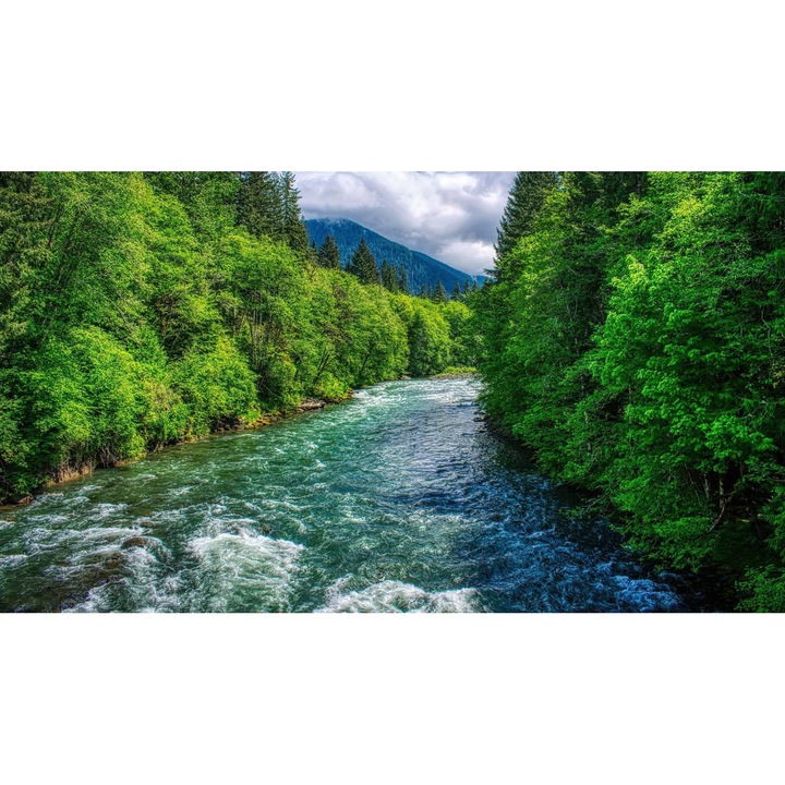 Öntapadó PVC tapéta - Táj erdőkkel és fákkal 209, 100 x 150 cm