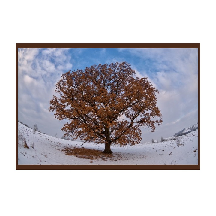 Panou radiant infrarosu, DRAGUS, personalizat 60/60cm 300W/250W 5kg 5-15mc