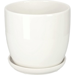 Ghivece si suporturi