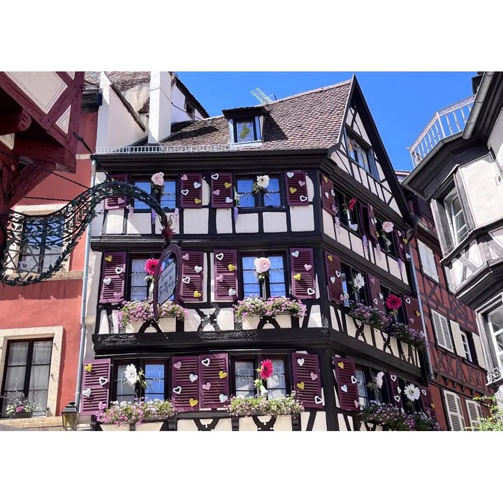 BlueBird - Пъзел Любов в Колмар, Франция - 500 части