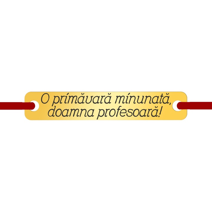 Martisor Bratara Inox Placuta Dreptunghiulara Aurie Doamna Profesoara