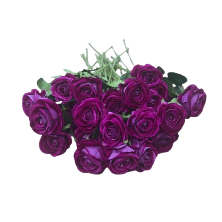Bársonytapintású lilás-bordó rózsa 50 cm