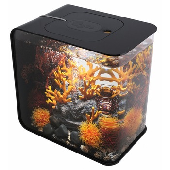 Set complet acvariu BiOrb FLOW 30 (cu sistem de iluminare LED, cadru negru) si ornamente Set complet acvariu BiOrb FLOW 30 (cu sistem de iluminare LED, cadru negru) si ornamente