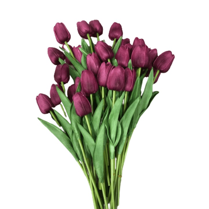 Mályvás-lila tulipán