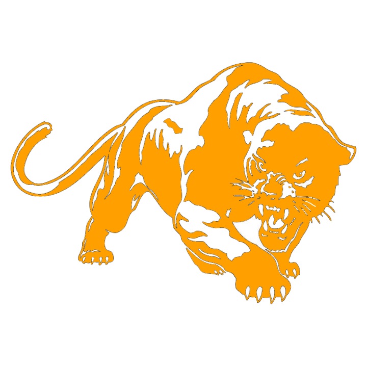 Sticker auto "Leopard" 20x13 cm, portocaliu