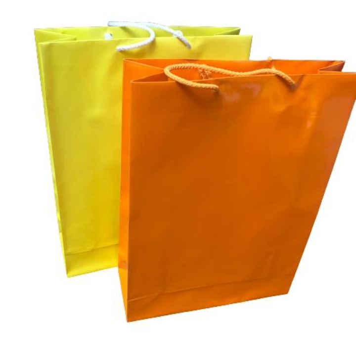 Комплект от 2 цветни подаръчни торбички 33x24x9 см