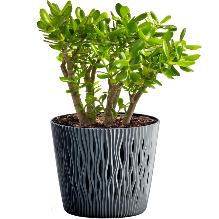 Kerek Virágcserép, Sandy Round, Prosperplast, 15,8 cm + Utántöltő,, antracit