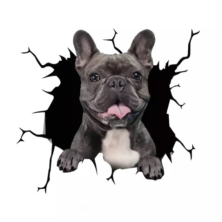 Fekete francia bulldog kutya díszítő matrica, otthonra vagy autóra, prémium öntapadó, 30 x 30 cm, eredeti ajánlatok